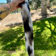 Black & White Hue Speckle Tail