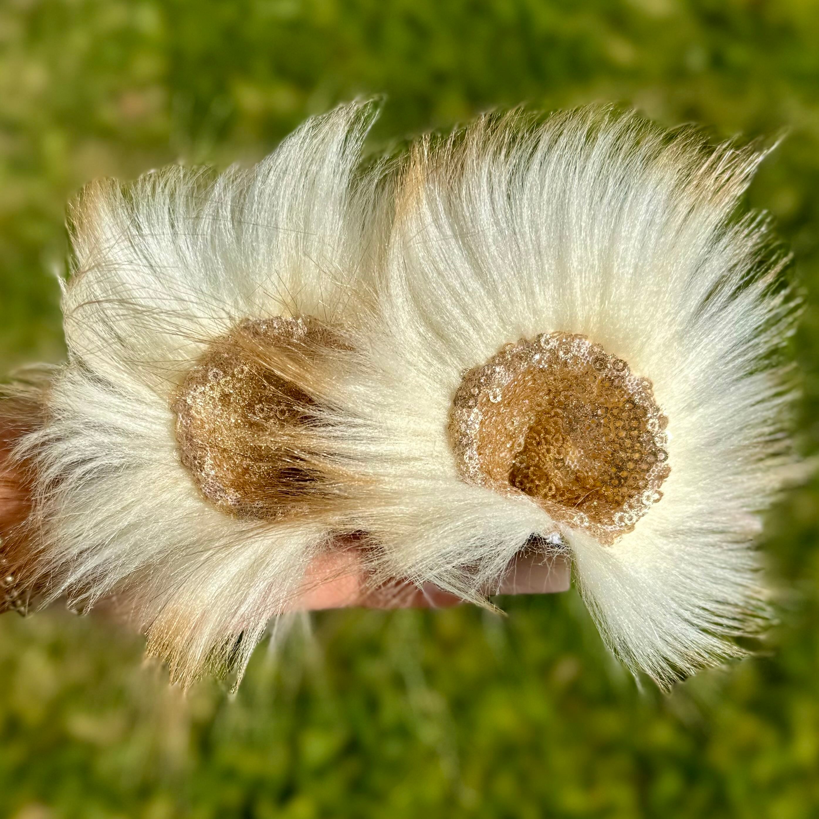 Bungalow Bear Ears