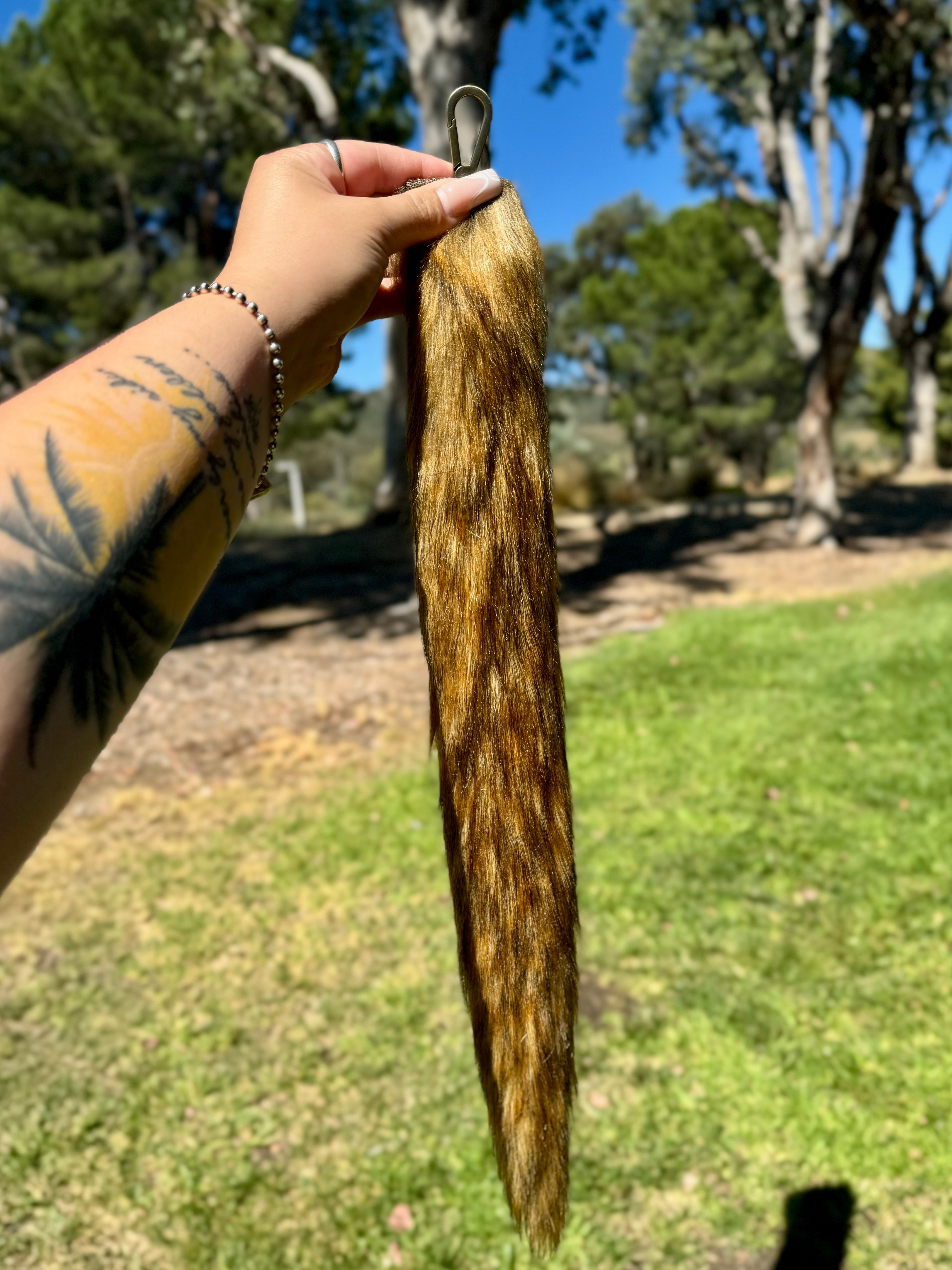 Light Brown Husky Tail